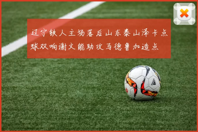 辽宁铁人主场落后山东泰山泽卡点球双响谢文能助攻马德鲁加造点